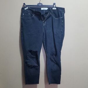 Torrid Distressed High Rise Straight Leg Jeans Size 14R